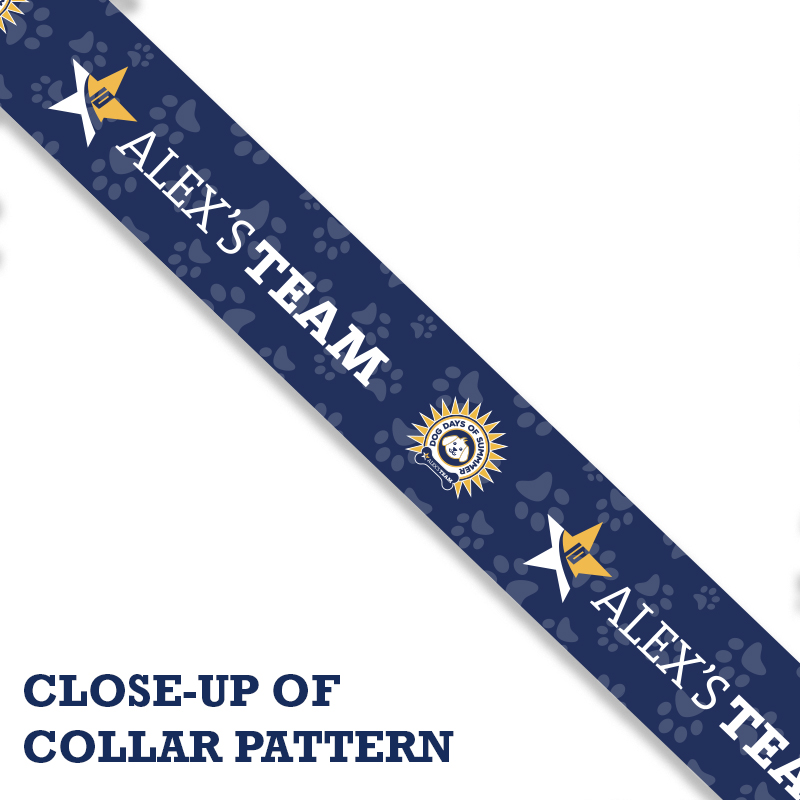 Alex's Team Dog Collar