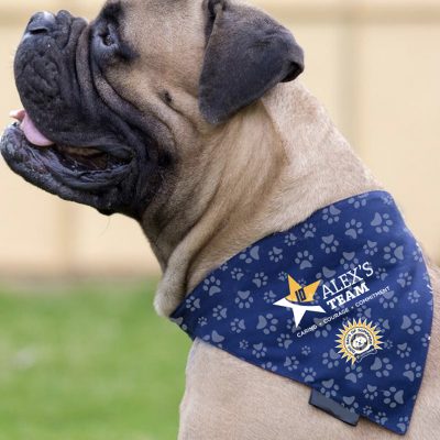 Alex's Team Dog Bandana